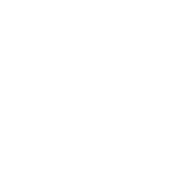 White Talayeh logo