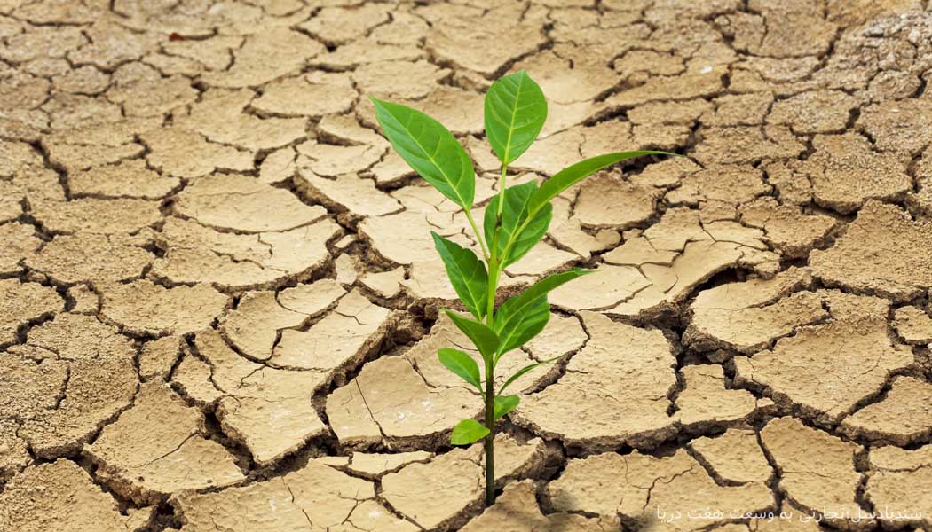 نتایج و پیامدهای خشکسالی در ایران
